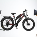 dynavolt double battery 48V 11.6Ah electric mountain bike
